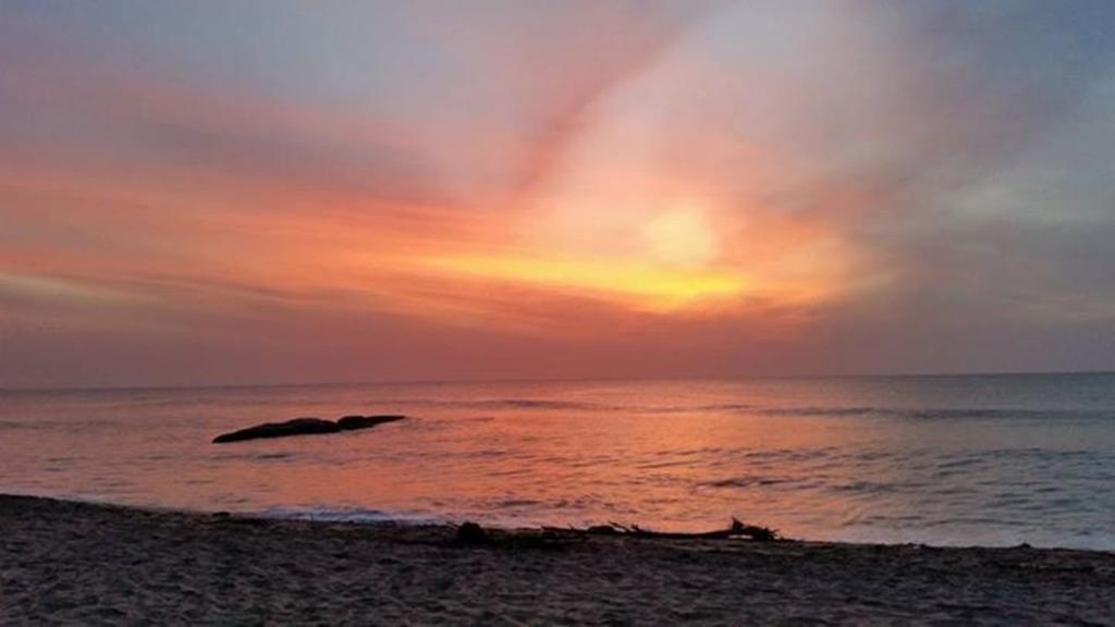 Surf Bay Resort Arugam Bay Εξωτερικό φωτογραφία